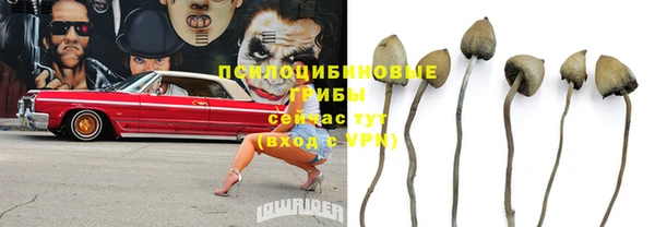 индика Алексеевка